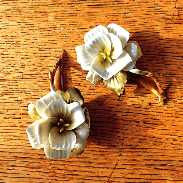 Flores Capodimonte